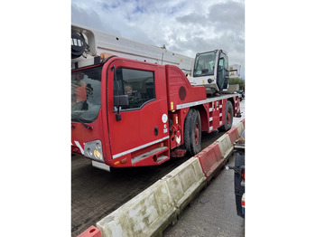 Grúa todo terreno TEREX