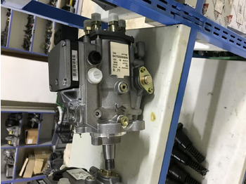 : imagen de cabecera