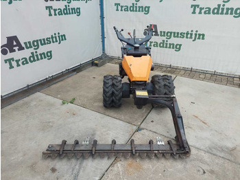 : imagen de cabecera