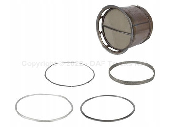 Sistema de escape DAF XF 106