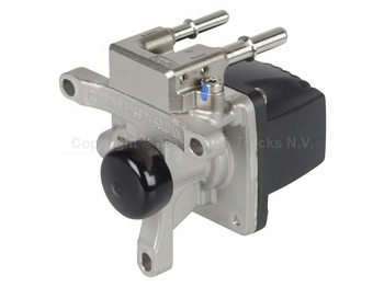 : imagen de cabecera