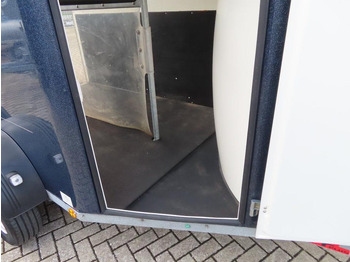 Remolque para caballos Böckmann, Pferdeanhänger, Comfort, CFF,Aluboden, SaKa, 100 km/h: foto 5