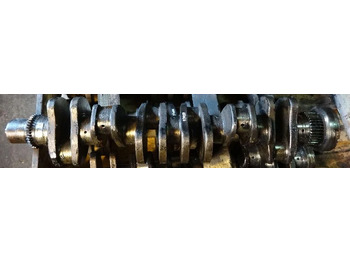 : imagen de cabecera