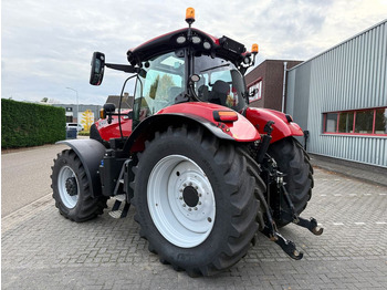 Tractor nuevo Case IH Puma 240 CVX Stage V GPS RTK: foto 2 Tractor nuevo Case IH Puma 240 CVX Stage V GPS RTK: foto 2