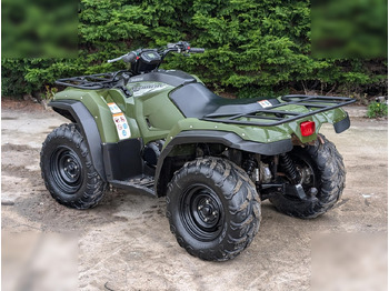 Cuadrimoto 2021 YAMAHA KODIAK 450 EPS: foto 4