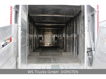 Semirremolque transporte de ganado nuevo Pezzaioli SBA31-SR  3 Stock "Neu"  Sofort verfügbar: foto 3