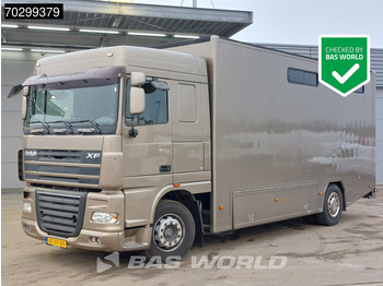 Camión para caballos DAF XF 105 410