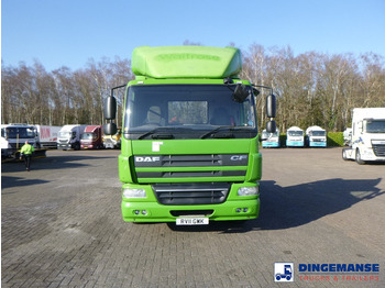 Arrendamiento de DAF CF 75.310 4x2 RHD DAF CF 75.310 4x2 RHD: foto 5