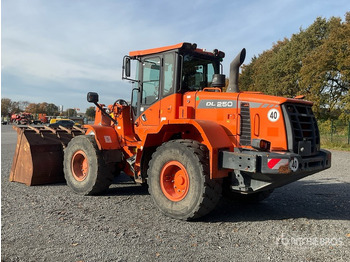 Cargadora de ruedas 2016 Doosan DL250-3 Wheel Loader: foto 4