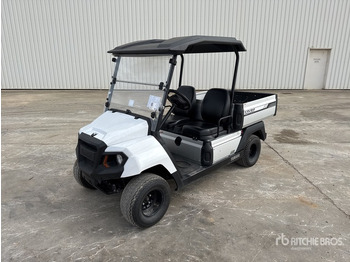 Carrito de golf YAMAHA