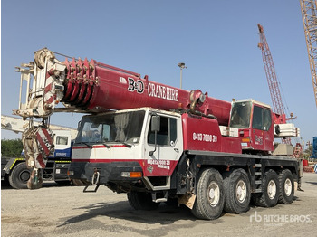 Grúa todo terreno LIEBHERR