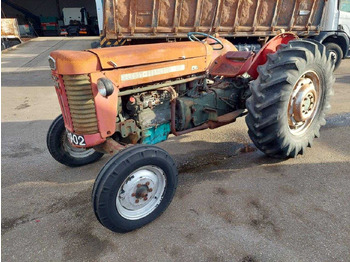 Tractor MASSEY FERGUSON