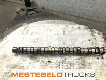 : imagen de cabecera