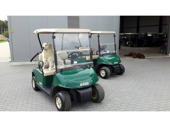 Carrito de golf EZGO rxv petrol: foto 2