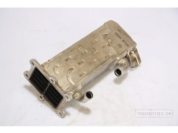 : imagen de cabecera