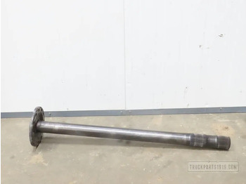 : imagen de cabecera