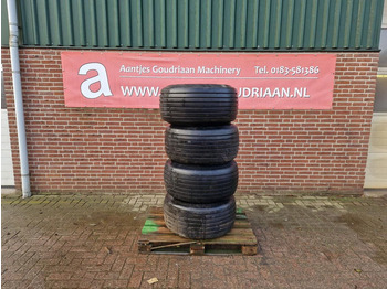 Neumáticos y llantas