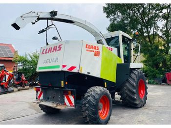 Arrendamiento de  Claas Jaguar 880 Claas Jaguar 880: foto 4