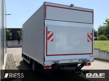 Arrendamiento de  DAF XB 210 FA 7,49 to Koffer LBW Klima Automatik DAF XB 210 FA 7,49 to Koffer LBW Klima Automatik: foto 4