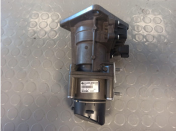 : imagen de cabecera