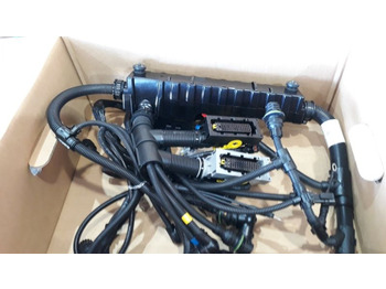 : imagen de cabecera