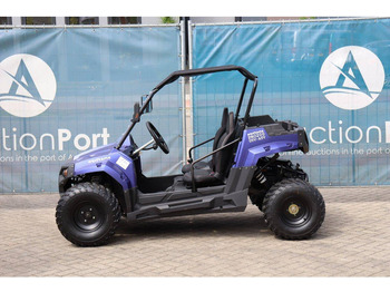 Carrito de golf nuevo Wextrem UTV-ATV 200Pro: foto 2