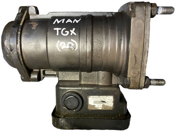 Recambio MAN TGX