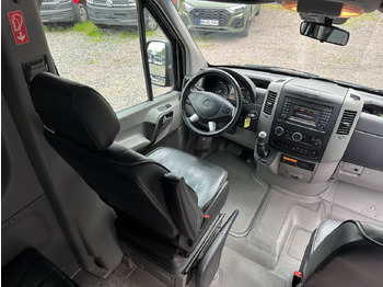 Minibús, Furgoneta de pasajeros Mercedes-Benz Sprinter 519 CDi (Euro 6*Leder Sitze): foto 4