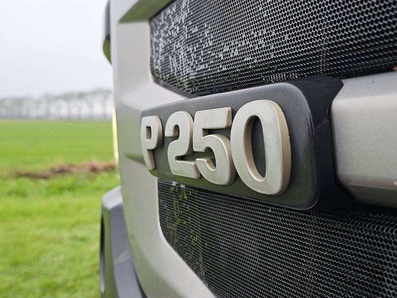 Camión frigorífico Scania P250: foto 19 Camión frigorífico Scania P250: foto 19