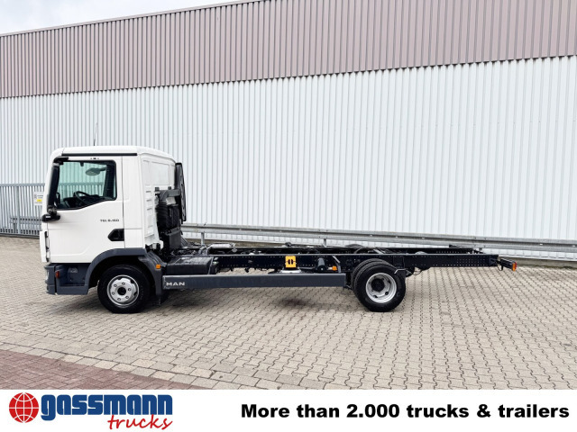 Camión chasis nuevo MAN TGL 8.160 4x2 BL CH: foto 14