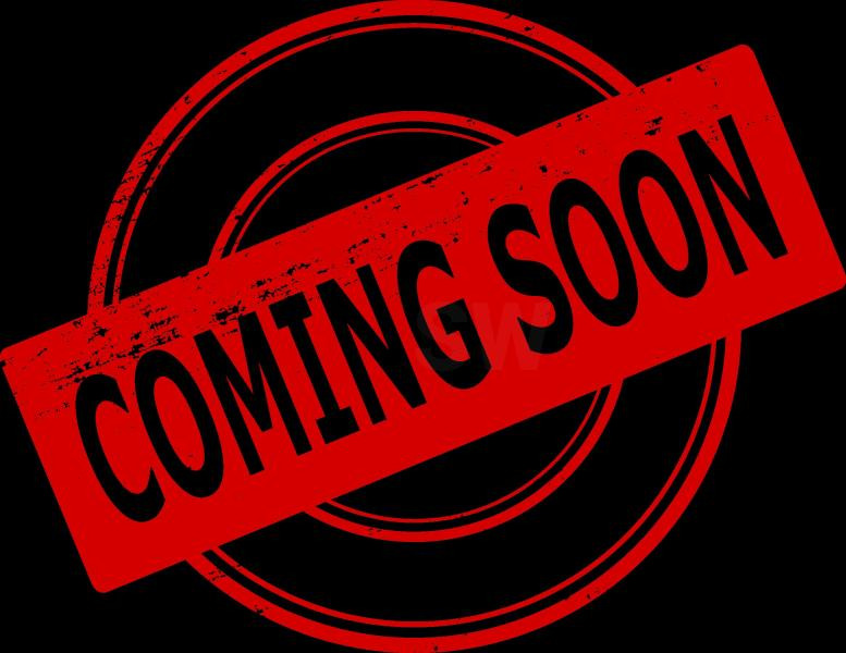 Volvo EC300ENL - Excavadora de cadenas: foto 1 Volvo EC300ENL - Excavadora de cadenas: foto 1