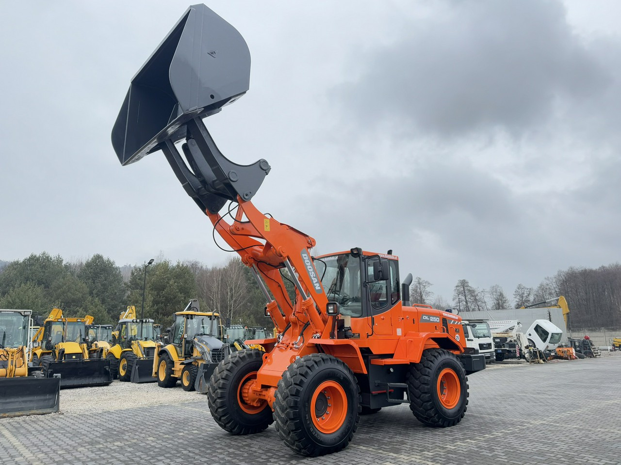Cargadora de ruedas Doosan DL250 14,5Ton Łyżka Wysokiego Wysypu !!!: foto 8
