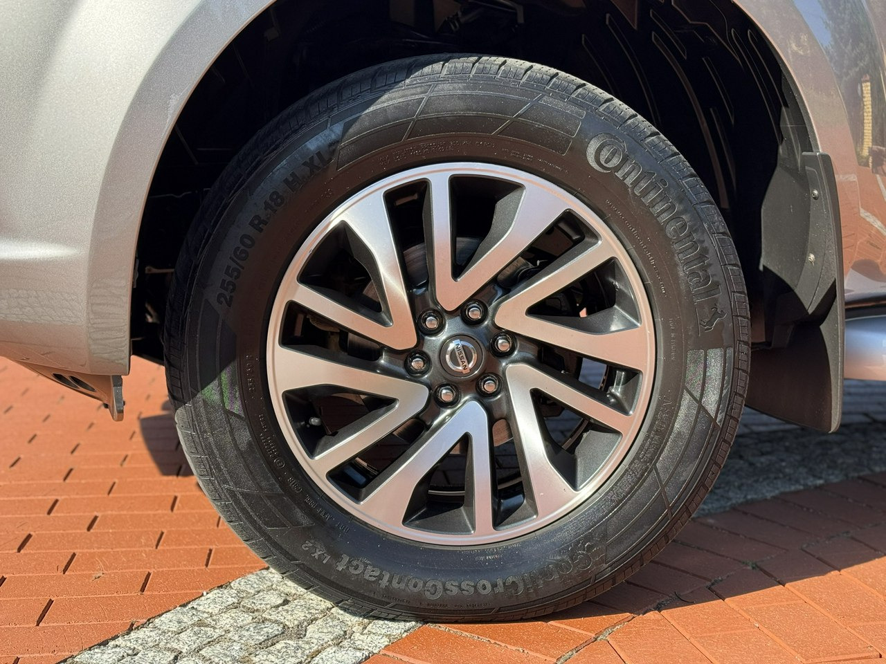 Pick-up Nissan Navara: foto 7