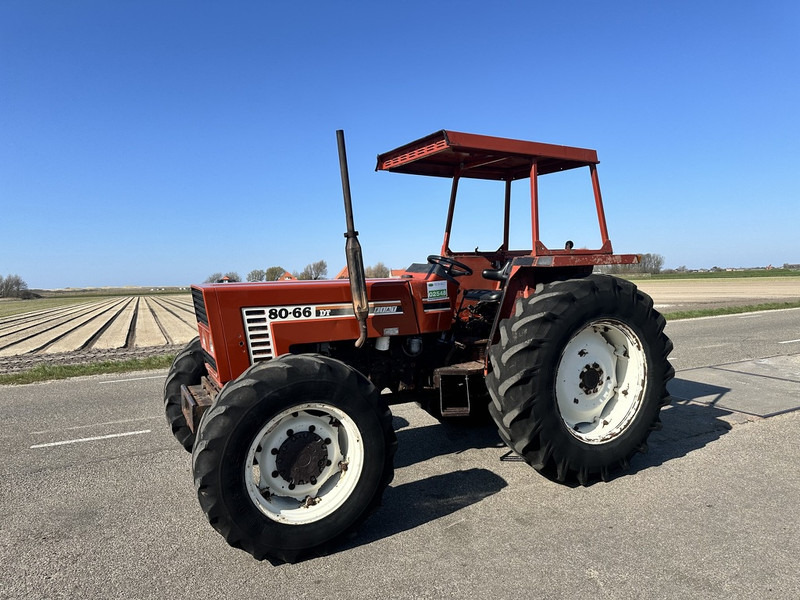 Fiat 80-66 DT - Tractor: foto 1 Fiat 80-66 DT - Tractor: foto 1
