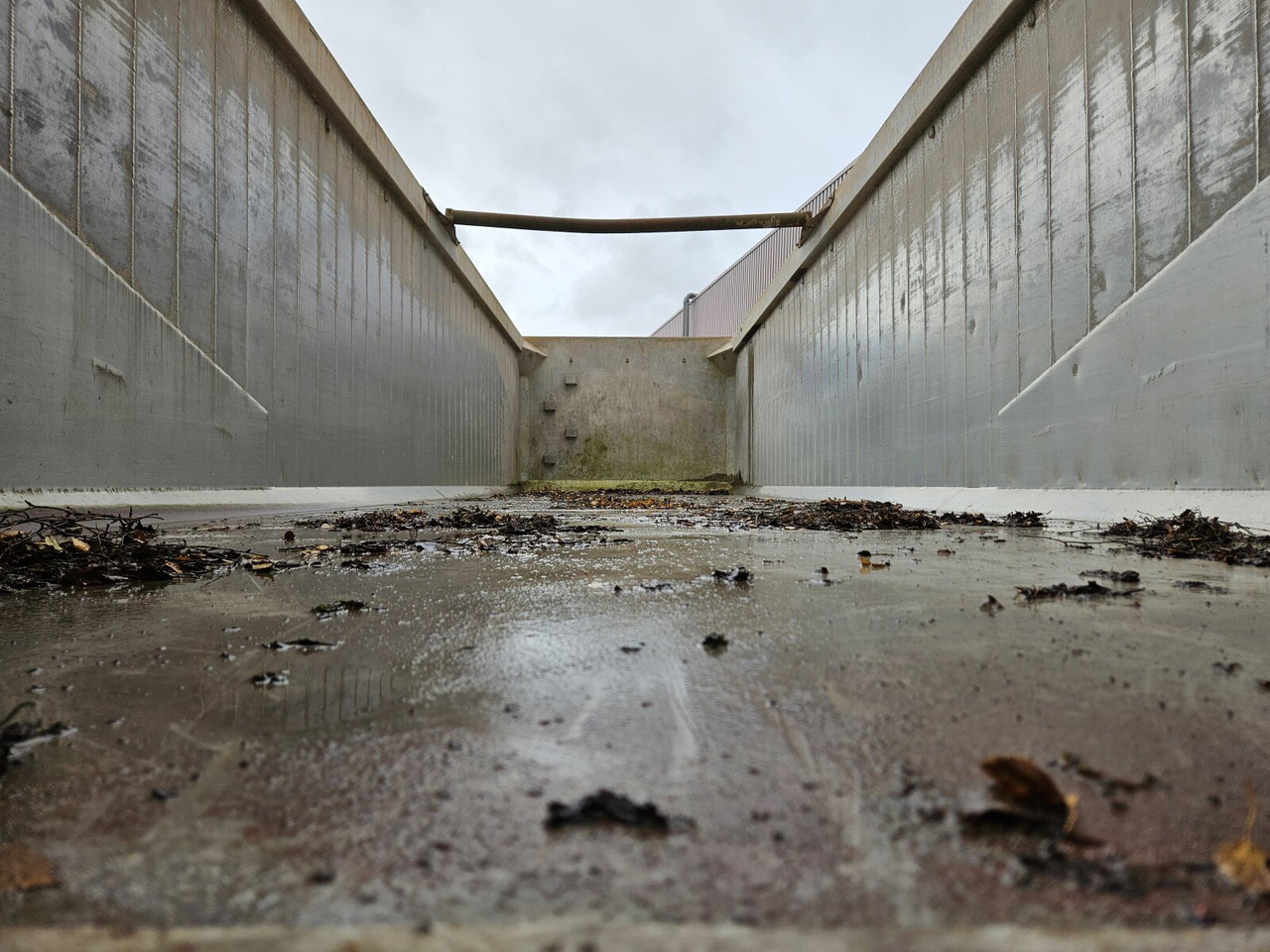 Reisch RHKS-32/18 AL RHKS-32/18 AL, 40 cbm Alu Kastenmulde - Semirremolque: foto 4 Reisch RHKS-32/18 AL RHKS-32/18 AL, 40 cbm Alu Kastenmulde - Semirremolque: foto 4