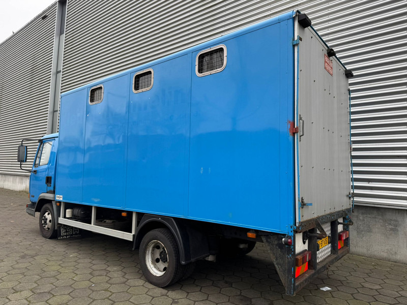 DAF LF45.130 / Horse Truck / 6 Cilinder / Manual Gearbox / Euro 2 / NL Trucks - Camión transporte de ganado: foto 4 DAF LF45.130 / Horse Truck / 6 Cilinder / Manual Gearbox / Euro 2 / NL Trucks - Camión transporte de ganado: foto 4