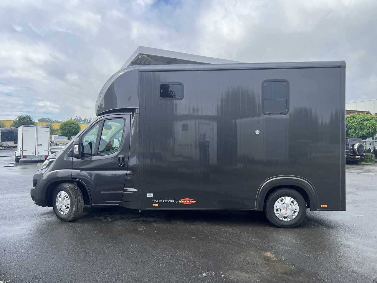 Fiat Böckmann Compact Basic LKW - Camión para caballos: foto 5 Fiat Böckmann Compact Basic LKW - Camión para caballos: foto 5