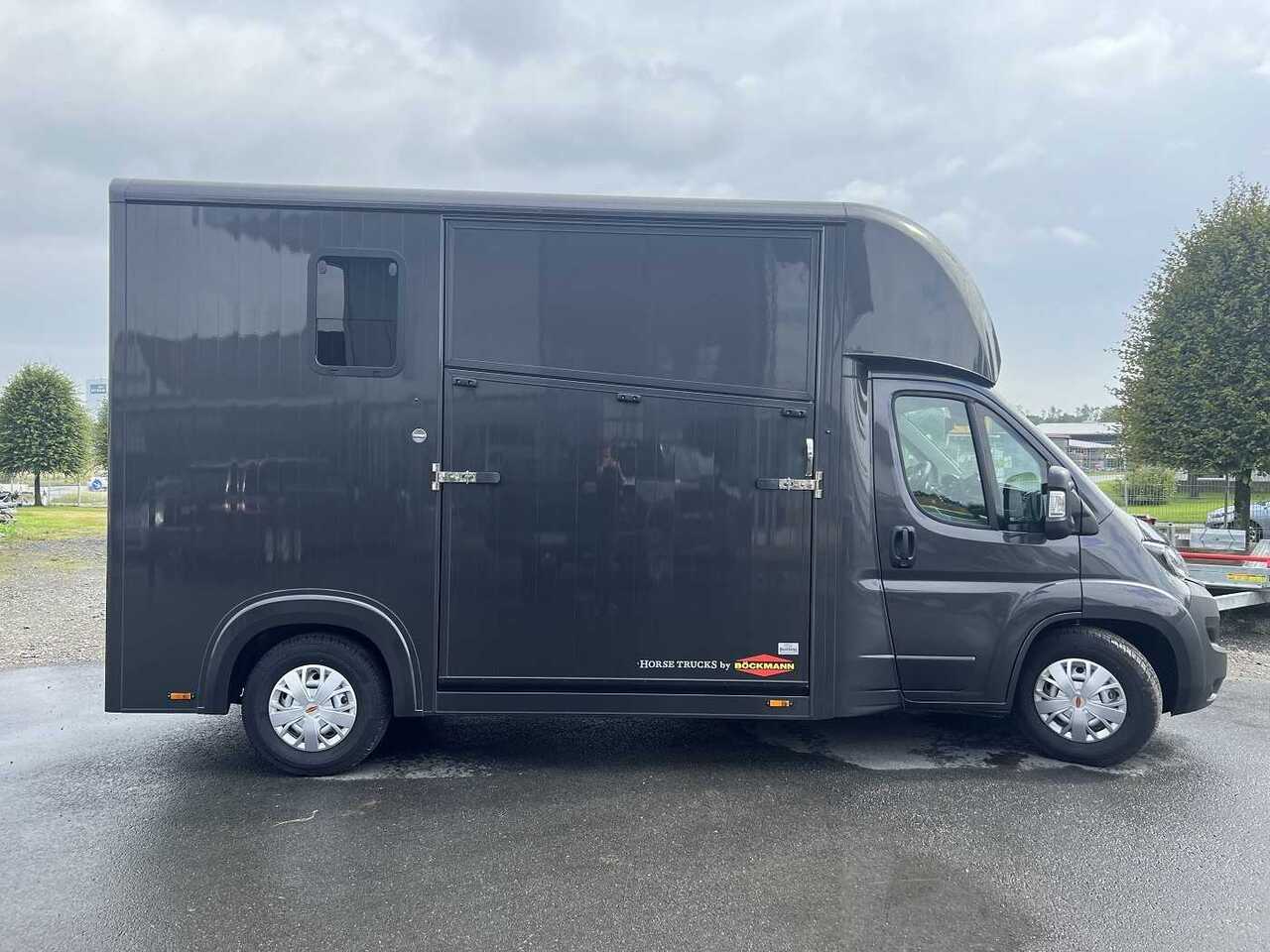 Fiat Böckmann Compact Basic LKW - Camión para caballos: foto 1 Fiat Böckmann Compact Basic LKW - Camión para caballos: foto 1