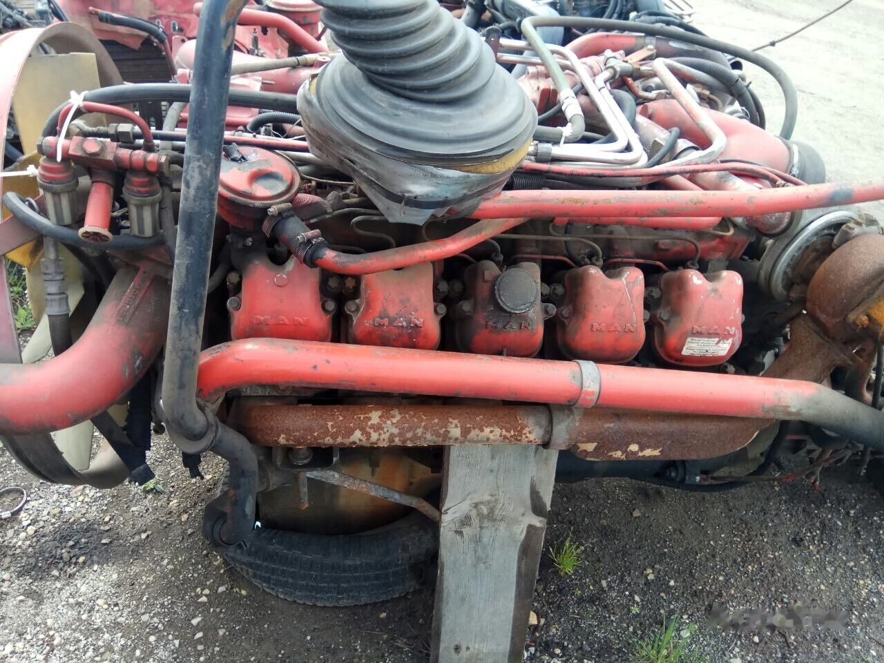 MAN D2840LF01 MAN truck - Motor para Camión: foto 1 MAN D2840LF01 MAN truck - Motor para Camión: foto 1