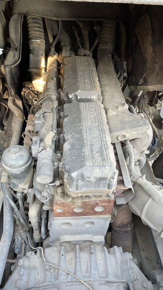 Cabeza tractora DAF XF 95.430 Tractor unit: foto 7