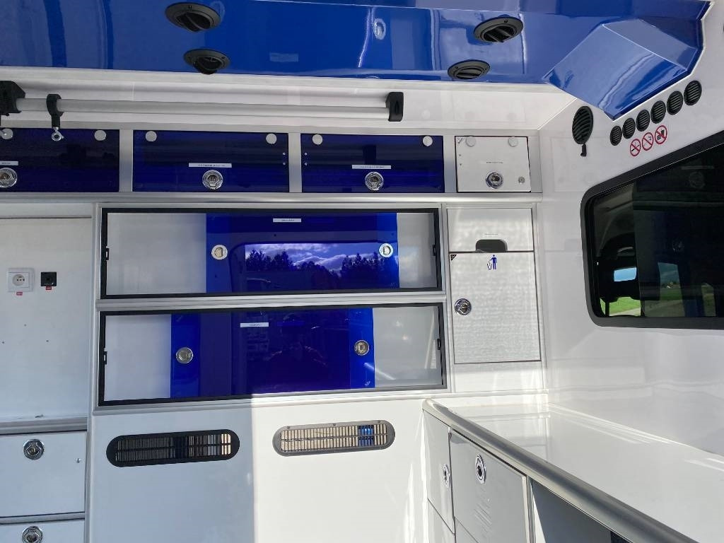 Furgoneta caja cerrada Fiat LES DAUPHINS/DUCATO TORINO 2.3M-Jet 160 endommagée: foto 30