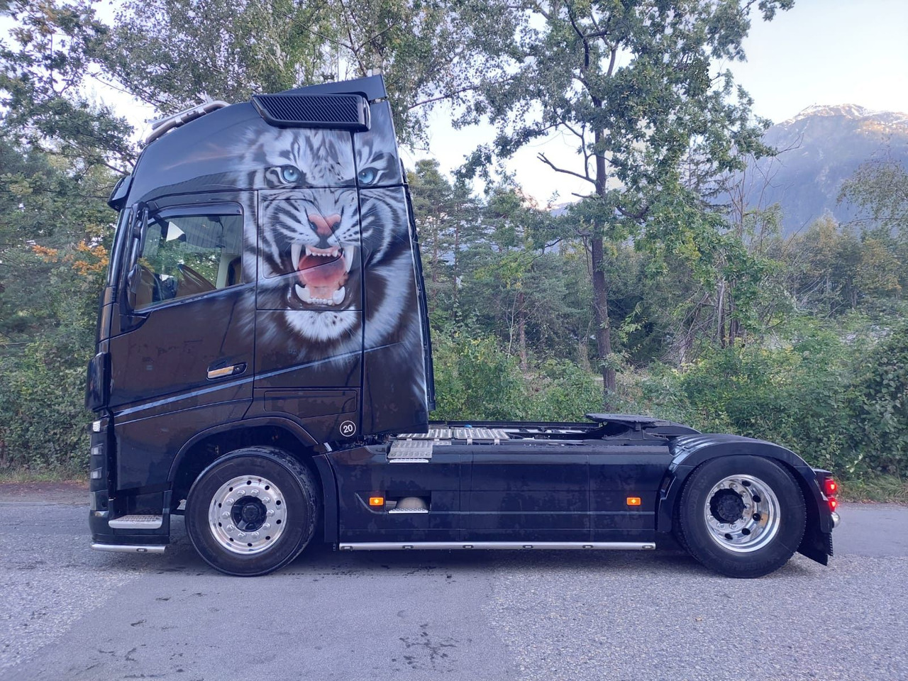 Arrendamiento de  Volvo FH16-650 4x2, Euro 6, VEB, airbrush Volvo FH16-650 4x2, Euro 6, VEB, airbrush: foto 7
