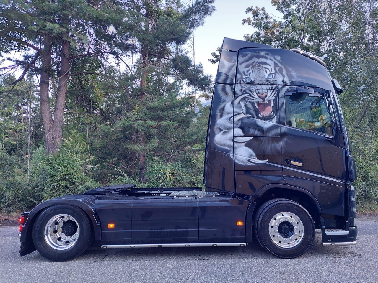 Arrendamiento de  Volvo FH16-650 4x2, Euro 6, VEB, airbrush Volvo FH16-650 4x2, Euro 6, VEB, airbrush: foto 8