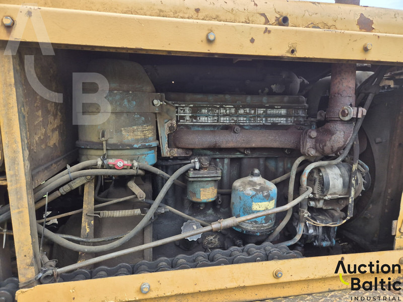 Zanjadora Talleks: foto 8