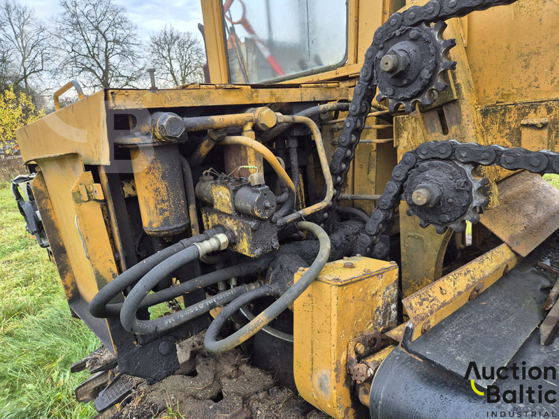 Zanjadora Talleks: foto 14