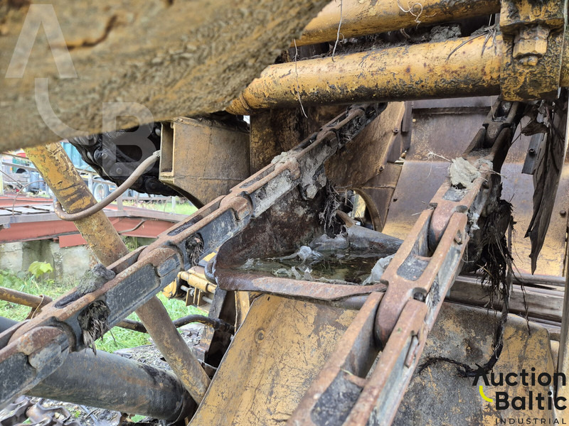 Zanjadora Talleks: foto 19