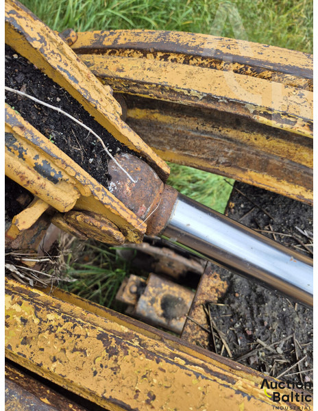 Zanjadora Talleks: foto 16