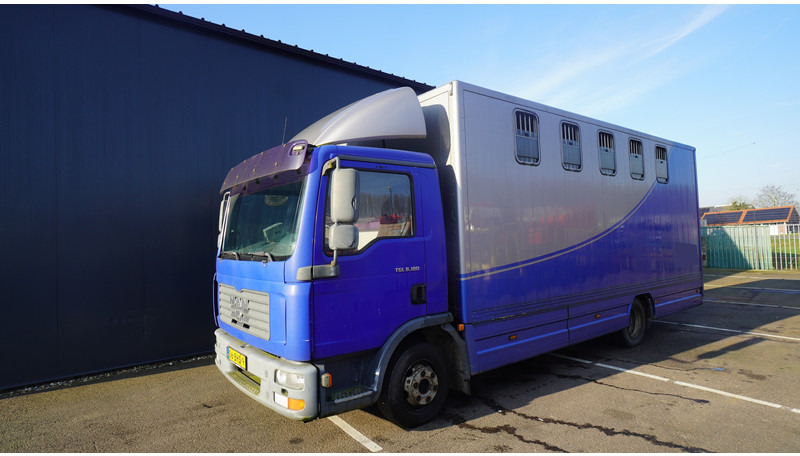 MAN TGL 8.180 HORSE TRANPORT 515.000KM - Camión para caballos: foto 3 MAN TGL 8.180 HORSE TRANPORT 515.000KM - Camión para caballos: foto 3
