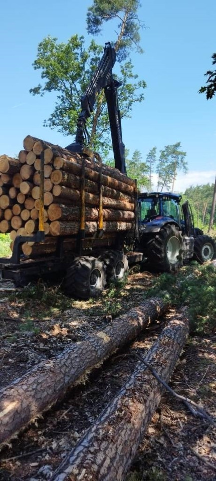 Kronos 140 - Remolque maderero: foto 2 Kronos 140 - Remolque maderero: foto 2