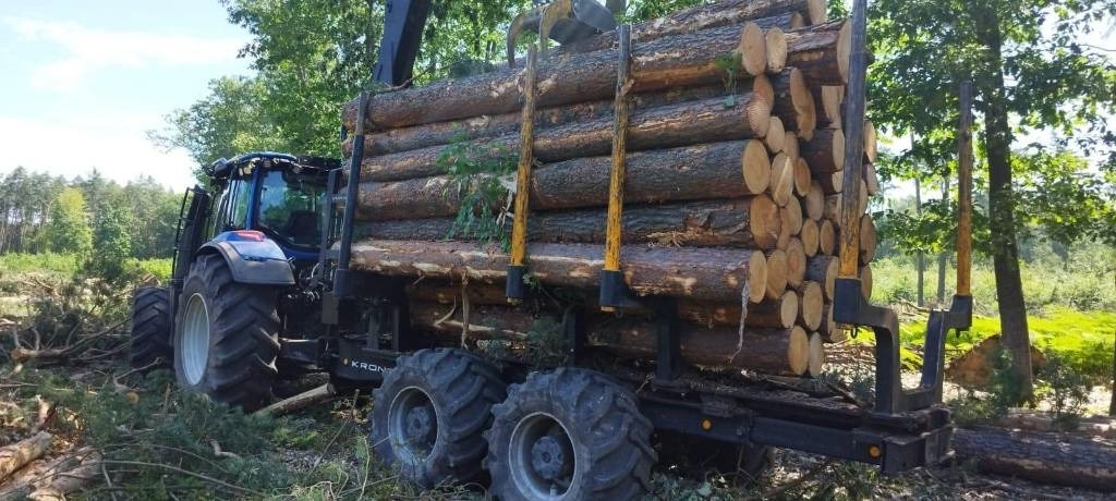 Kronos 140 - Remolque maderero: foto 3 Kronos 140 - Remolque maderero: foto 3